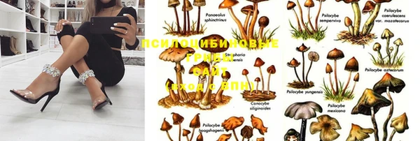 бутират Абаза