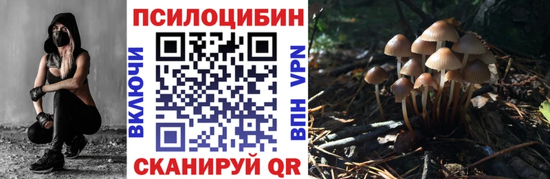 Псилоцибиновые грибы мицелий  сколько стоит  KRAKEN сайт  Кызыл 