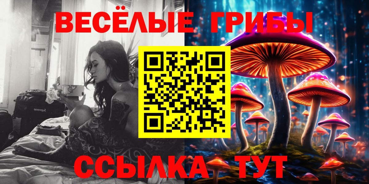 Галлюциногенные грибы GOLDEN TEACHER Кызыл