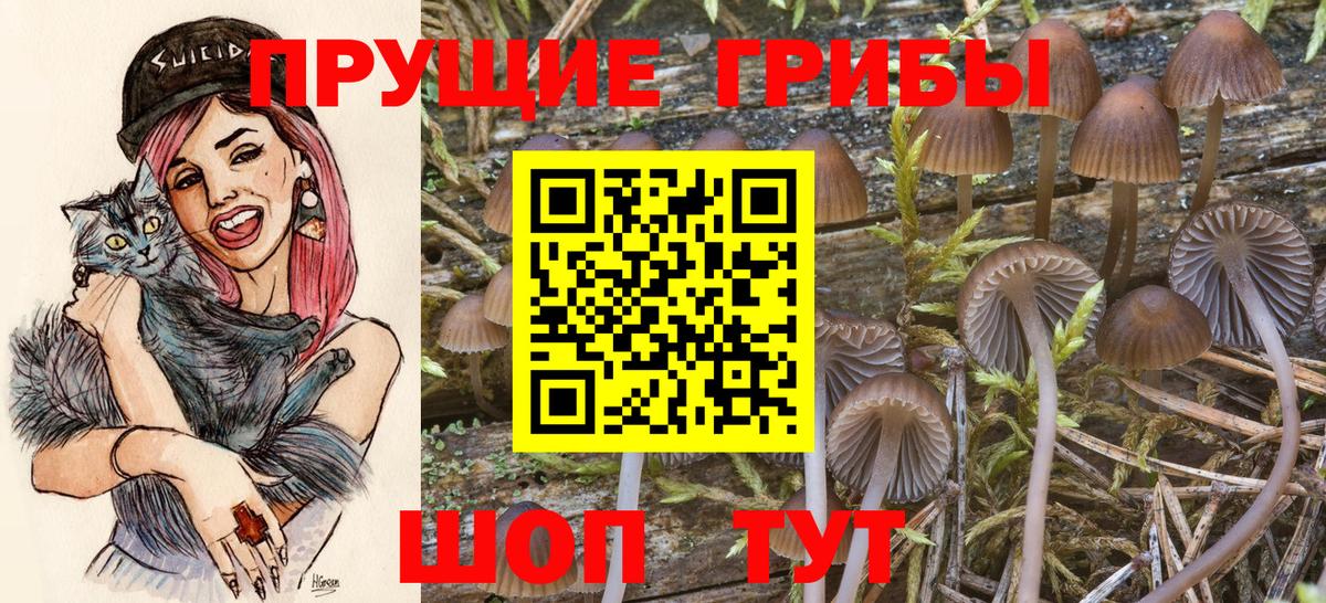 Галлюциногенные грибы Psilocybe  Галлюциногенные грибы GOLDEN TEACHER  Вход с VPN  Кызыл 